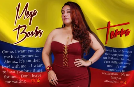 Terra-Mega Terra 0126 зображення 4