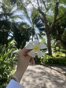 AnitaOwens Vietnam 圖片 3