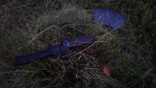 ExquisiteMature My Summer Hình 9