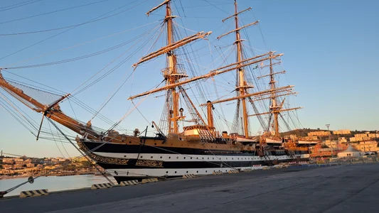 Public de nocsivag  Imagens