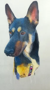 color_beat17 Dog Portrait صورة واحدة|color_beat17 Dog Portrait صورتان|color_beat17 Dog Portrait  صور|color_beat17 Dog Portrait  صورة