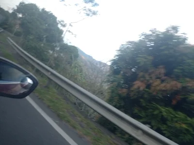 joan-star Vacation Pic 3