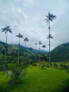 Annita001SEXYY图片 5