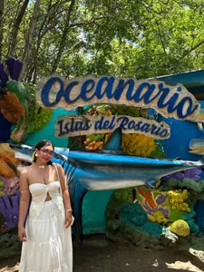 zui_lu kullanıcısının 🐚🌺🧡☀️ albümü -  2 fotoğraf