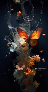 zsder's photo