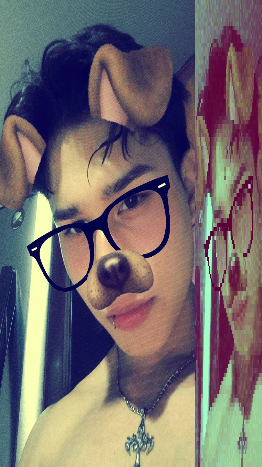 صور TeddyBear_07 الرائجة  8815