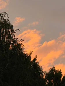 Touch_And_RunEnjoy my pleasant evening with me.图片 6