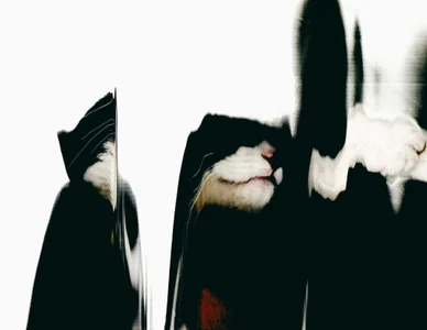 sorry-mom69 my works, my art Gambar 9