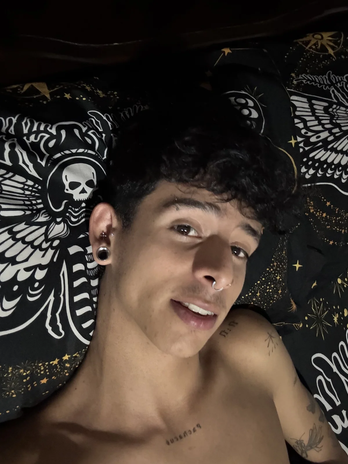 Трендове зображення  7924 Ibratxandy