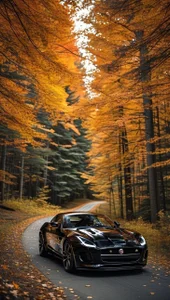 OliviaVerr: Public ( 2 фото)