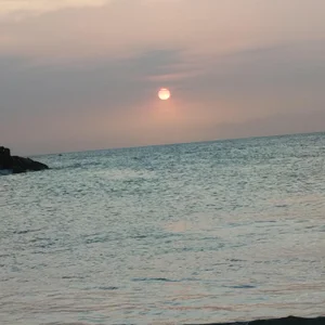 Tatted21xxx Beach  4. fénykép