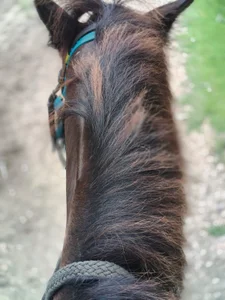 Ounla_Sweet 💕 Travel ✈️🛫🛬 Pic 5