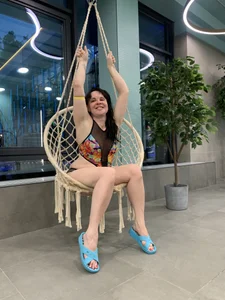 Aphelandra baden Pic 5