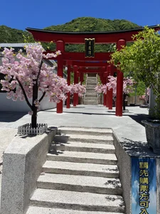 bbhiShark kullanıcısının 視頻 albümü -  5 fotoğraf