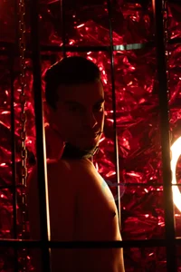 Maximo__: BDSM San Valentines Day ( 2 фото)