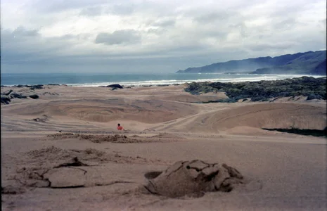 dog-naked dognaked Immagine  3