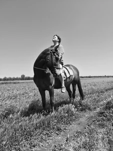 🐎 de ollaaaaaaai  2 photos