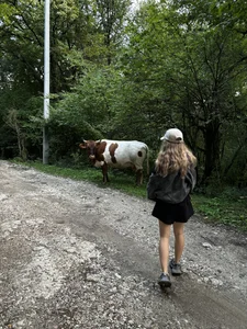 altertyan lige is good Poză 8