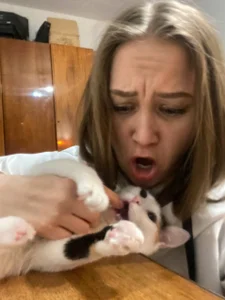 Miatiny Cat attack Fotka