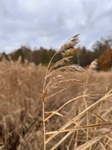 AlexFH kullanıcısının Just walking along the eco trail albümü -  fotoğraf