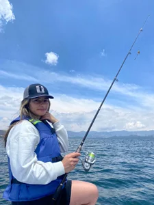 AtheneaRossi pesca Pic