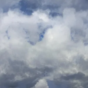 Public de cute__cherry  5 photos