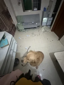爱💕