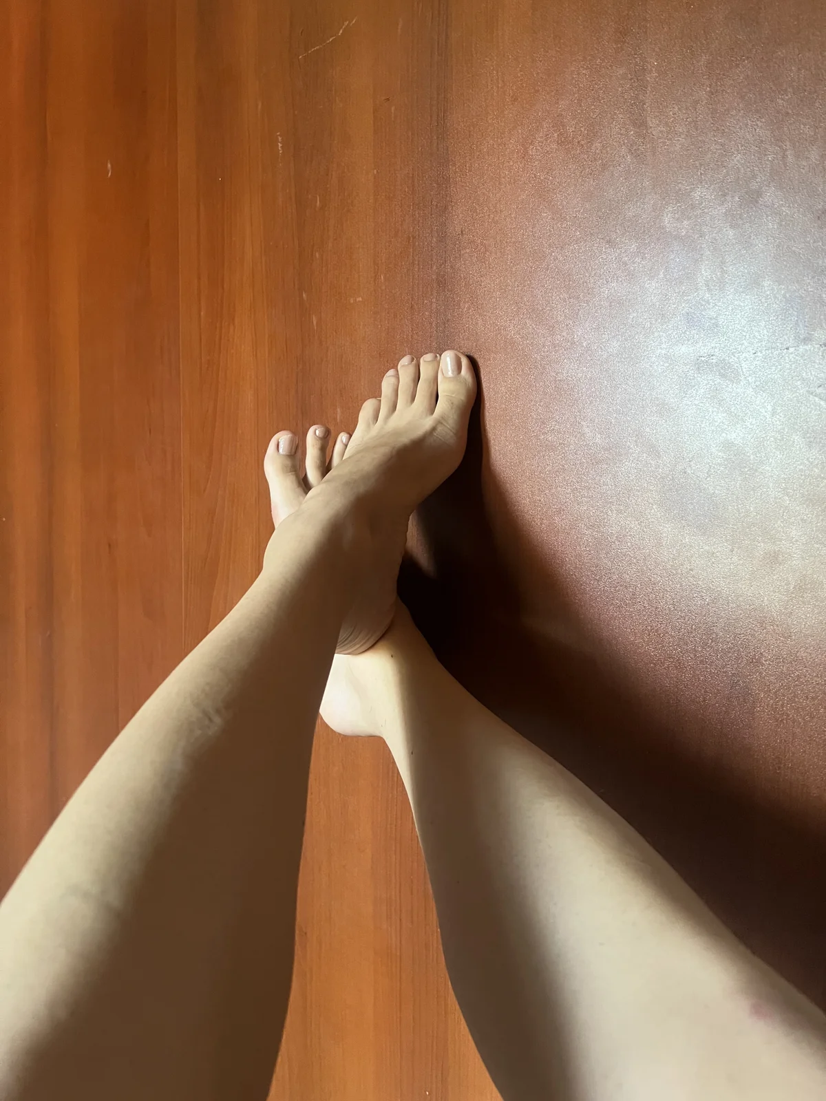 Aria_montgomeri Δημοφιλής εικόνα 4102