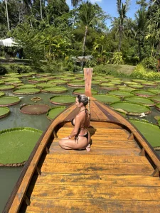 Zdjęcia LeilaToker Tropical dream 🌴✨:  4