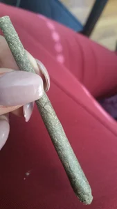 AmazonianMistress My Passions in Life Pic 7