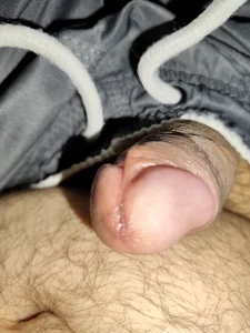 Public de Fofinho44  Imagens