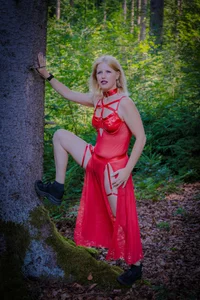 Moistdevil Im Forst зображення 9