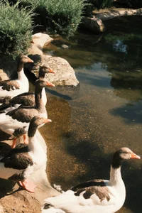 vacation de elisa_moon  2 Imagens