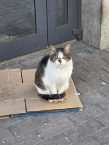 JaneRosen my day off🥰 Foto 4