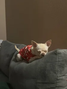 LaveraMeling The morning begins not with coffee, but with a smile in the mirror! Pic 5