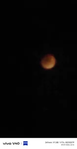 nehacplsex Public Pic 3