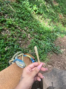 Catsucker kullanıcısının My Hobbies ⋆｡ ﾟ𓃠 ﾟ｡⋆ albümü -  4 fotoğraf