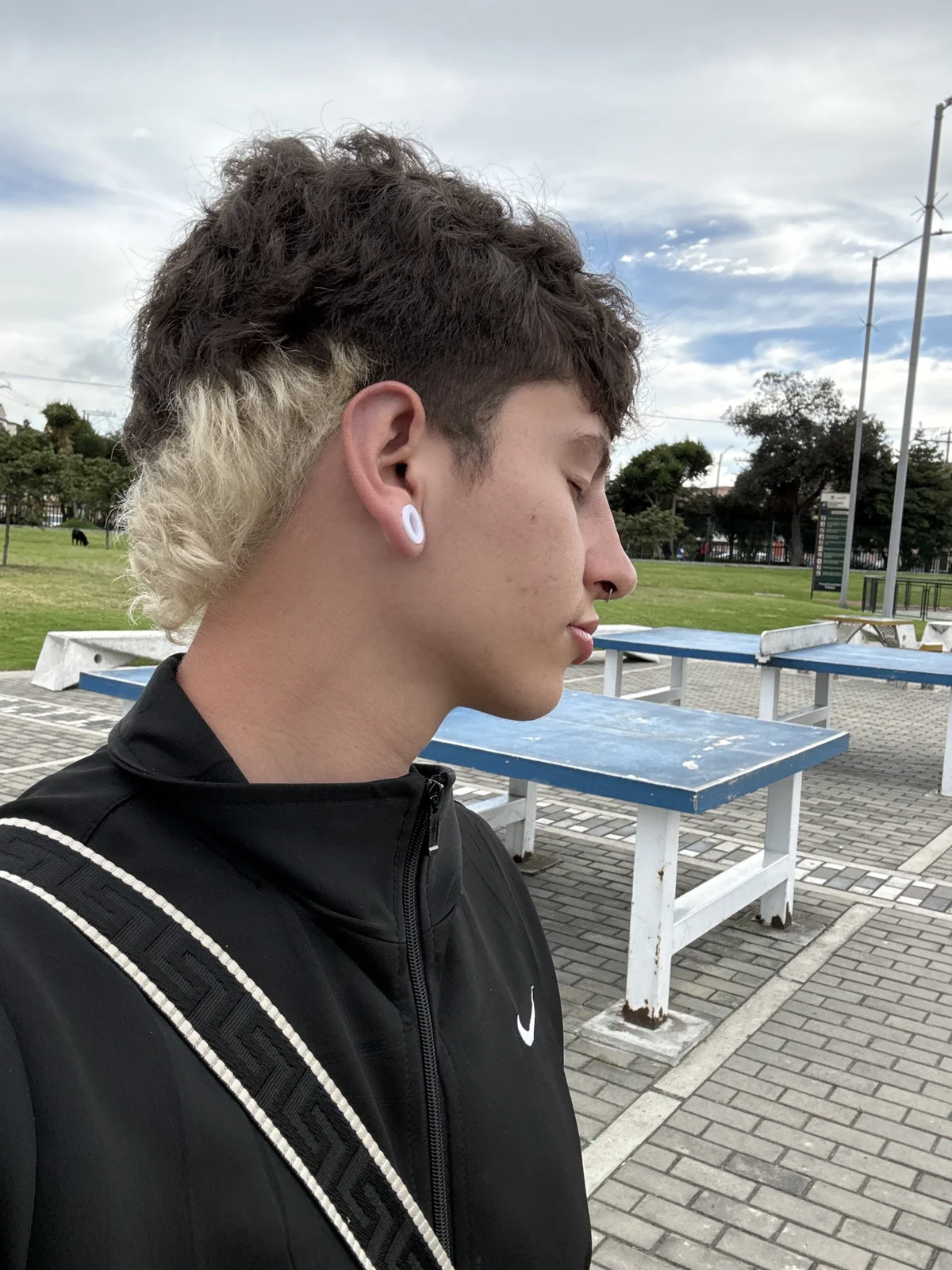 ARON_LUXX popularna fotka 1909