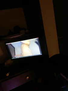 Public de Chryshott  8 Imagens