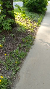 stefanyharper16 Sexy stranger of spring Bilde 2