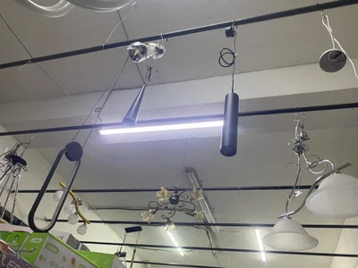 ros217 Public Foto 3