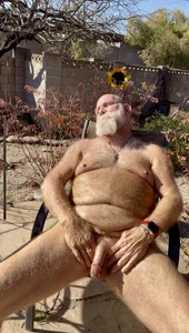DaddyBearAZ Getting Some Sun зображення