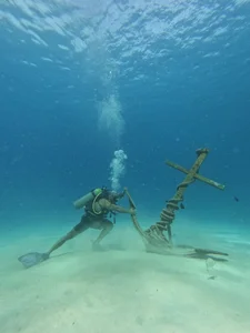 Andrew_Johnnson Mar Εικόνα 4