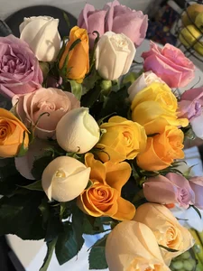 flores y mas flores Diciembre de kaithra Foto 6