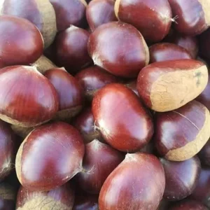 AngelwithEcup 中国人常吃的水果零食Fruit snacks commonly eaten by Chinese people Hình 3