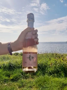 Hottie-Mom Public Poză 2