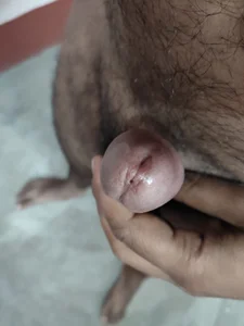 Public de Ramarama20  3 Imagens