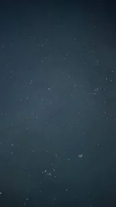 MerlinMeyer 😻😻😻 Pic