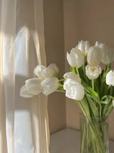 ♡ de HIKARIchan_s2  2 photos