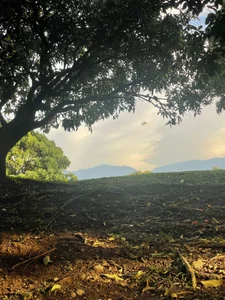 Dollar-girl 💋 Rest Tuesday 💫 صورة واحدة|Dollar-girl 💋 Rest Tuesday 💫 صورتان|Dollar-girl 💋 Rest Tuesday 💫  4 صور|Dollar-girl 💋 Rest Tuesday 💫  4 صورة